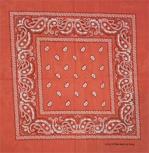 Paisley BANDANA Orange 21'' x 21''