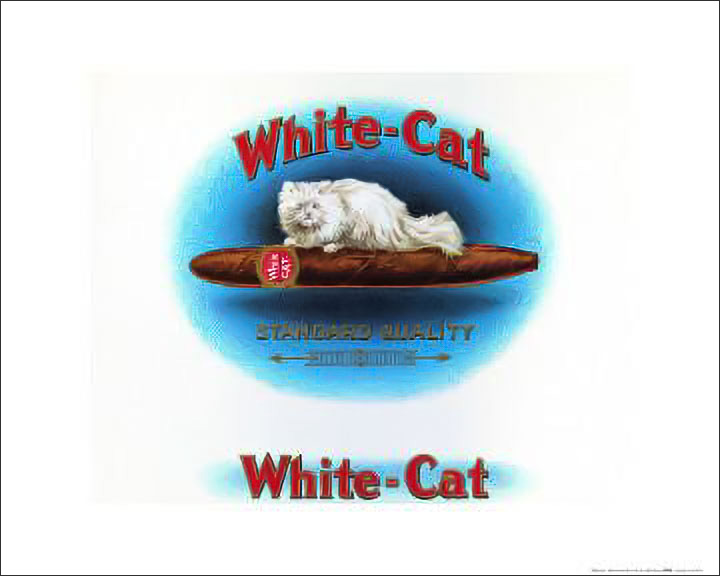 White Cat CIGAR Poster- 16'' X 20''