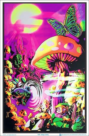 ''MAGIC Valley Black Light Poster - 23'''' X 35''''''