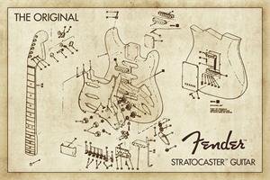 ''Fender Stratocaster Guitar Diagram POSTER - 36'''' x 24''''''