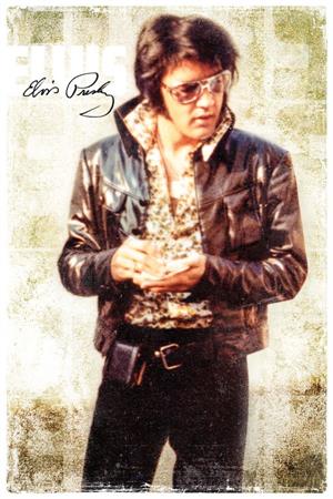 ''Elvis Presley - Cool - POSTER - 24'''' x 36''''''