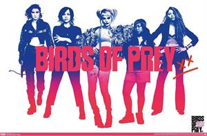 ''Birds of Prey POSTER - 22.375'''' x 34''''''