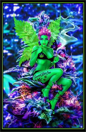 ''Weed Fairy Non Flocked Black Light POSTER - 24'''' X 36''''''