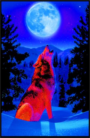 ''Wolf Moon Non Flocked Black Light POSTER - 24'''' X 36''''''