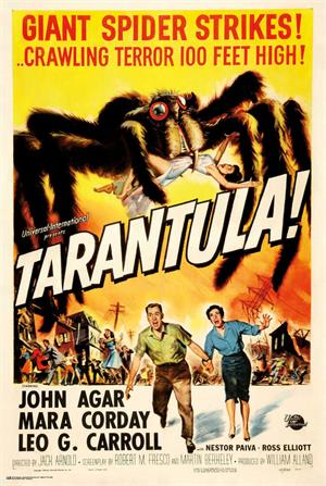 ''Tarantula Poster - 24'''' x 36''''''