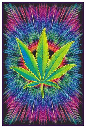 ''Canna Vibes Non-Flocked Blacklight POSTER 24'''' x 36''''''