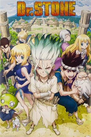 ''Dr. Stone Group POSTER - 24'''' x 36''''''