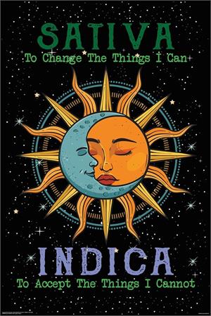''Sativa Indica SUN & Moon Poster - 24'''' x 36''''''