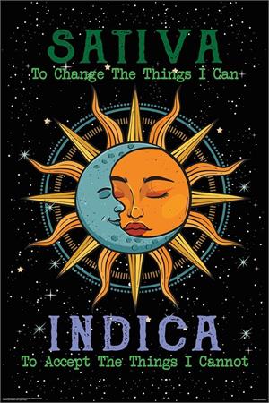 ''Sativa Indica Sun & Moon POSTER - 24'''' x 36''''''