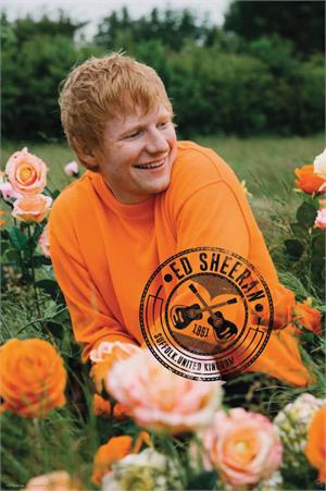 ''Ed Sheeran - Rose Field POSTER 24'''' x 36''''''