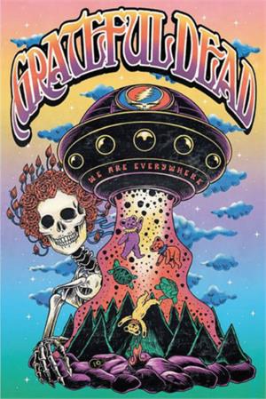 ''GRATEFUL DEAD Bertha UFO Poster 24'''' x 36''''''