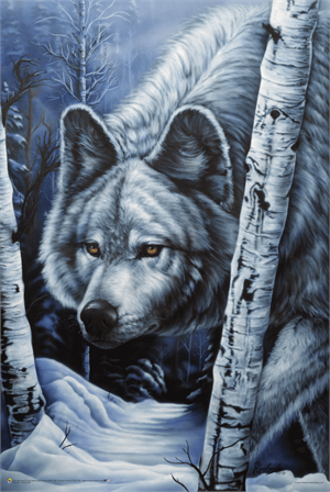 ''White Wolf By Jenny Newland POSTER - 24'''' X 36''''''