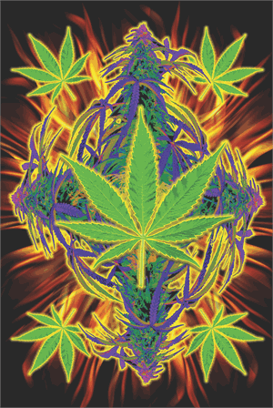 ''Flaming Leaf POSTER - 24'''' X 36''''''