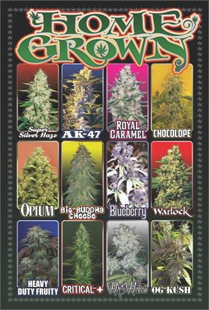 ''Home Grown POSTER - 24'''' X 36''''''