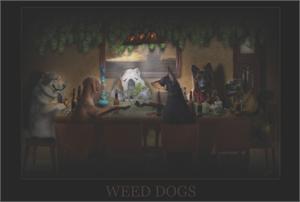 ''Weed DOGs Poster - 36'''' X 24''''''