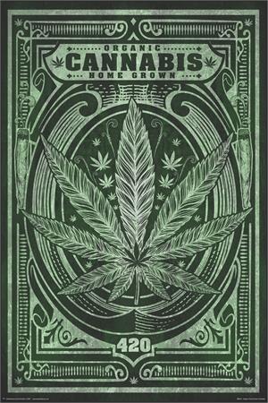 ''Organic Home Grown Cannabis POSTER - 24'''' X 36''''''