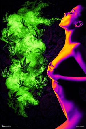 ''Too Hot to Handle Non-Flocked Blacklight POSTER - 24'''' x 36''''''