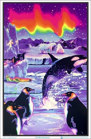 ''Arctic Aurora Black Light POSTER - 23'''' X 35''''''