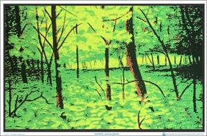 ''Summer WOODs BlaCk Light Poster - 35'''' X 23''''''