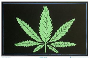 ''The Leaf Black Light POSTER - 35'''' X 23''''''