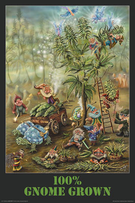 ''Gnome Grown - POSTER - Mike Dubois - 24'''' X 36''''''