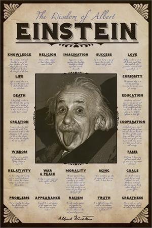 ALBERT EINSTEIN - QUOTES - POSTER - 24" X 36"