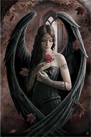 ''ANGEL Rose - Anne Stokes - Poster - 24'''' X 36''''''