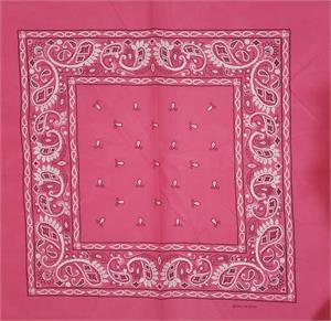 ''Paisley Bandana Fuscia 22'''' x 22'''' - Polyester''