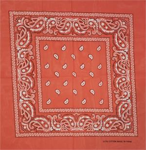 ''Paisley Bandana Orange 21'''' x 21''''''