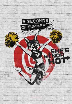''5 Seconds of Summer - She's Kinda Hot Fabric POSTER - 30'''' x 40''''''