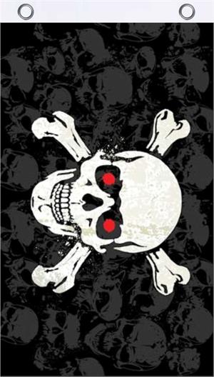 SKULL & Crossbones Fly Flag