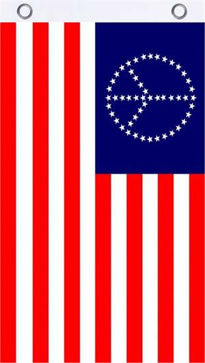 USA Peace Fly FLAG