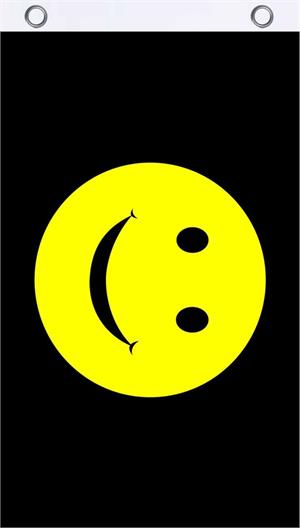 Smiley Face Fly FLAG
