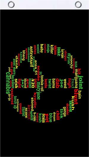 RASTA Peace Words Fly Flag