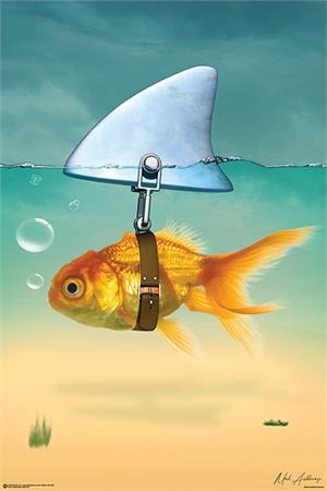 ''GOLD Fish Poster - 36'''' x 24''''''