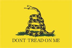 ''Don't Tread On Me American Indpendence POSTER - 24'''' X 36''''''