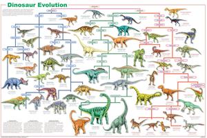 Dinosaur Evolution Educational POSTER 36x24