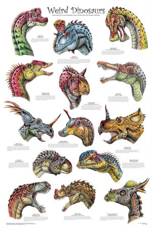 Weird Dinosaurs Educational POSTER 24x36