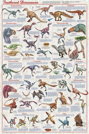 Feathered Dinosaurs 2 Educational POSTER 24x36