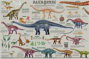 Sauropods Dinosaur Educational POSTER 36x24