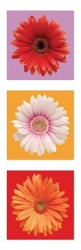 ''Daisies - Red, White & Orange Slim Print - 12'''' X 36''''''