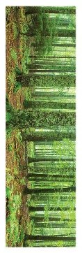 ''Rainforest Slim Print - 12'''' X 36''''''