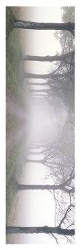 ''Morning Mist Slim Print Poster 12'''' x 36''''''