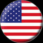 USA FLAG Button