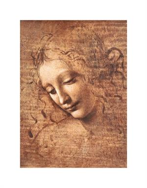 ''La Scapigliata (Female Head) by Da Vinci Mini POSTER - 11'''' X 14''''''