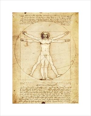''Vitruvian Man by Da Vinci Mini POSTER - 11'''' X 14''''''