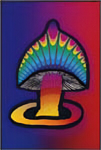 Postcard - MAGIC Mushroom - Clearance - Min. 12 Per Style