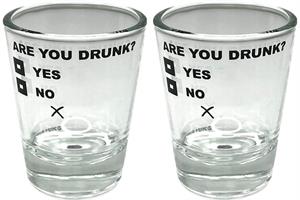 Are You Drunk? - Shot Glass - 2 Piece Set