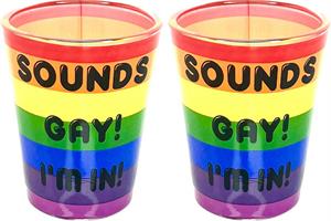 Sounds Gay I'm In - Shot Glass - 2 Piece Set