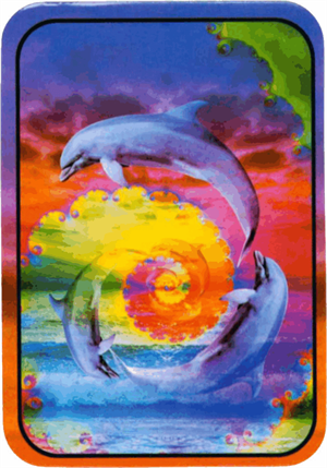 ''Dolphins - Large STICKER Clearance - 2 1/2'''' X 3 3/4''''''